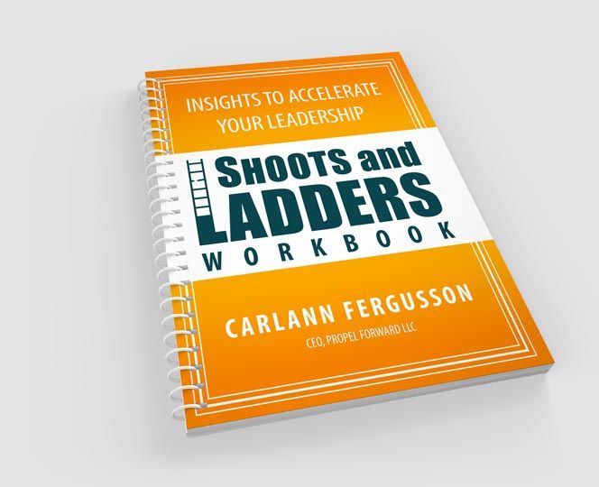Shoots and Ladders book Image