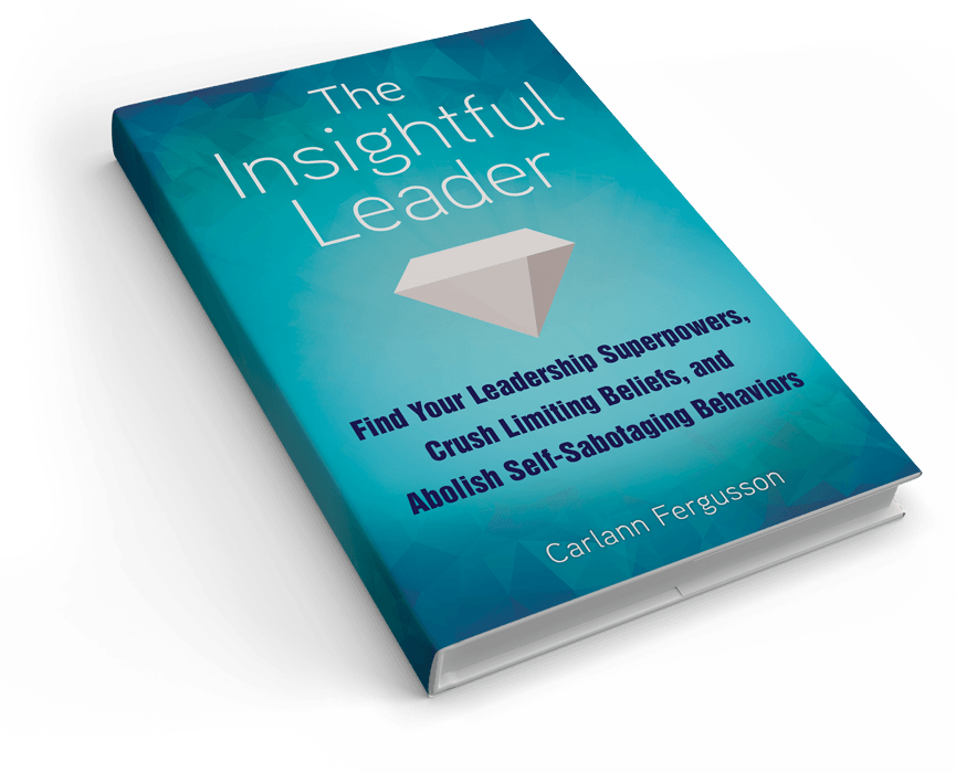 Insightful leader book Image